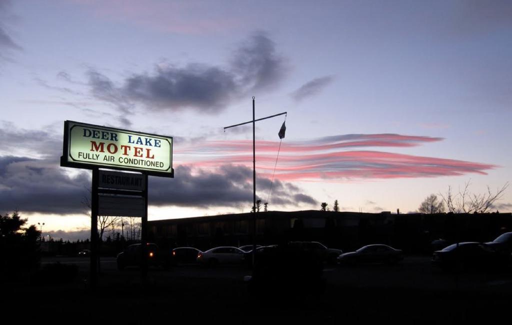 Deer Lake Motel Extérieur photo