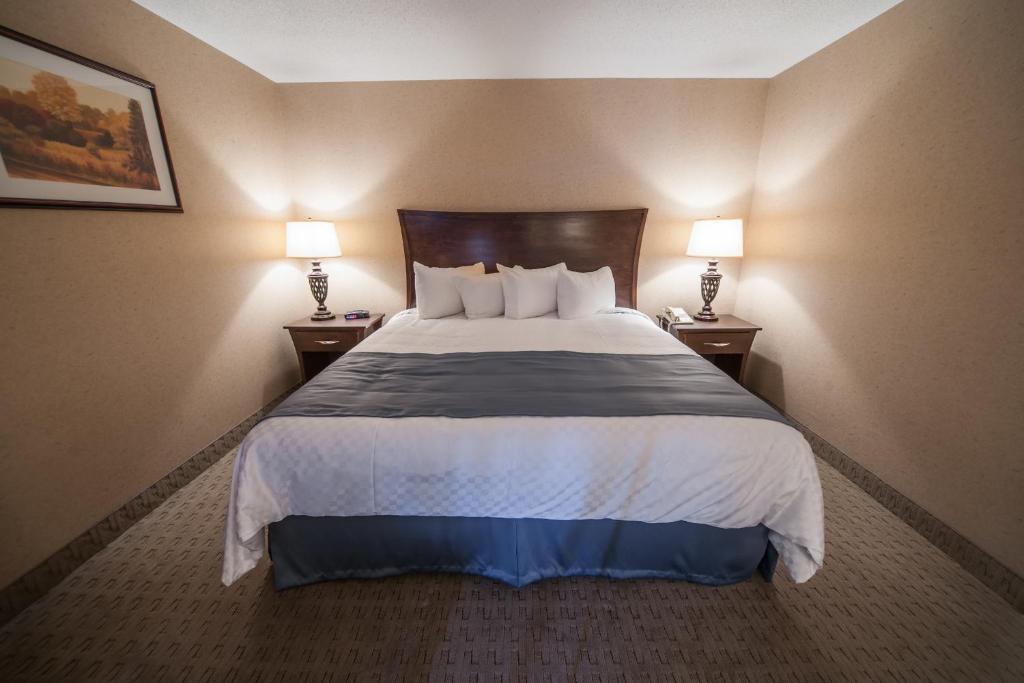 Deer Lake Motel Extérieur photo